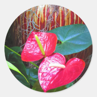 Pegatina Redonda Flower Floral Fotos de Longwood Gardens