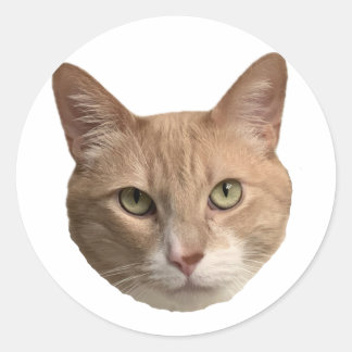 Pegatina Redonda ¡Floyd pegatina!