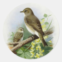 Pegatina Redonda Flycatchers, Ilustracion de arte