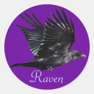 Pegatina Redonda Flying Black Raven Corvid Crow lover Photo Design