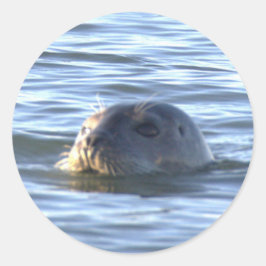 Pegatina Redonda Foca nadando en océano Stickers