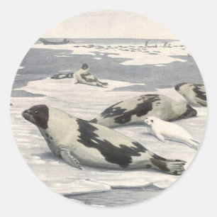 Pegatina Redonda Focas Arpa Antiguas en Nieve Ártica por Louis Fuer