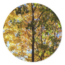 Foliage amarillo y verde otoño