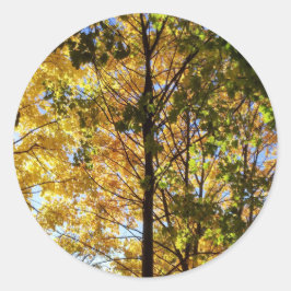 Pegatina Redonda Foliage amarillo y verde otoño