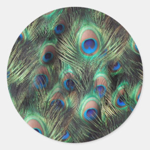 Pegatina Redonda Fondo de la funda guardapolvo