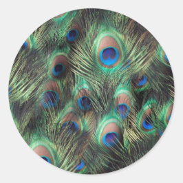 Pegatina Redonda Fondo de la pluma de pavo real