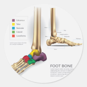 Pegatina Redonda Foot Bone
