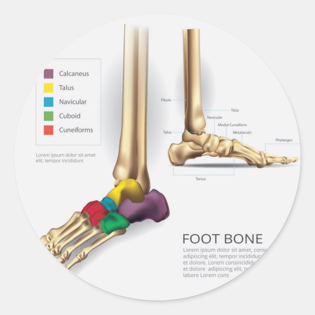 Pegatina Redonda Foot Bone (Anverso)