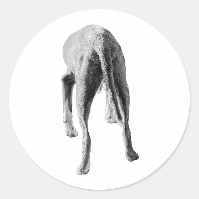 Pegatina Redonda Forma y flujo (Anverso)