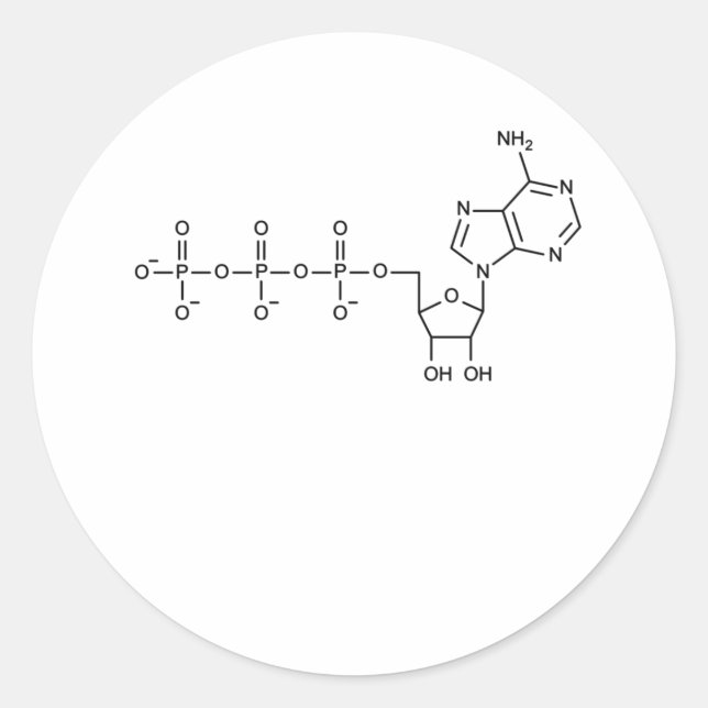 Pegatina Redonda Fórmula ATP para profesores de Biología y Ciencia (Anverso)