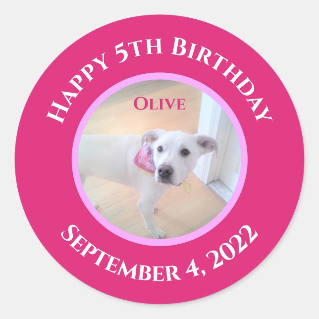 Pegatina Redonda Foto de adorable cachorro con bufanda rosa intenso (Anverso)