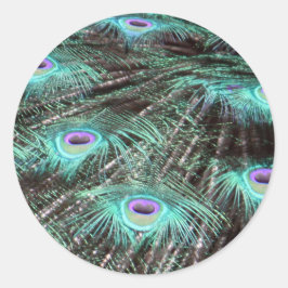 Pegatina Redonda Foto de bonito Peacock Feathers