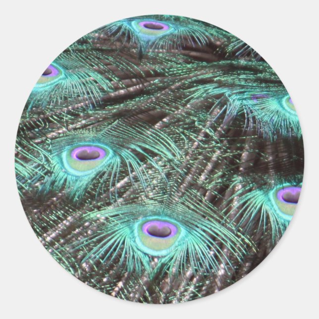 Pegatina Redonda Foto de bonito Peacock Feathers (Anverso)