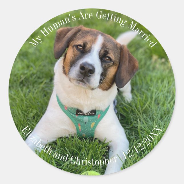 Pegatina Redonda Foto de compromiso casada de mi ser humano (Anverso)