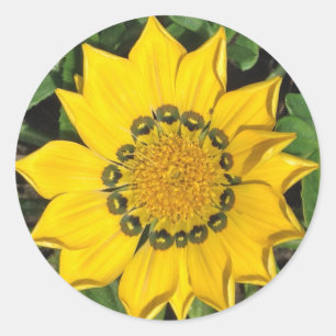 Pegatina Redonda Foto de flor amarillo brillante