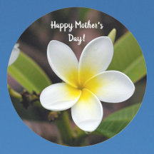 Foto de flor de Plumeria de Día de la Madre amaril