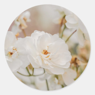 Pegatina Redonda Foto de flores blancas románticas de Korbin Rose e