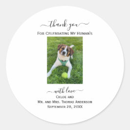 Pegatina Redonda Foto de gato de perro por favor de boda de mi ser 