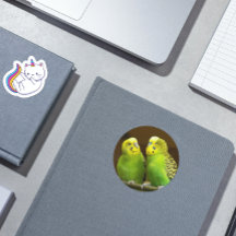 Foto de los parques verdes y amarillos