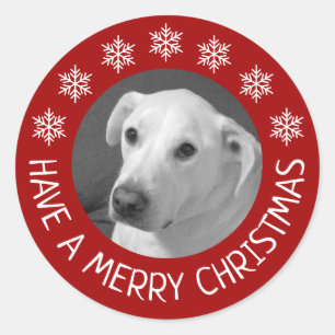 Pegatina Redonda Foto de perro blanco pacífico Feliz Navidad Rojo