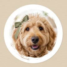 Foto de perro personalizada linda impresa moderna