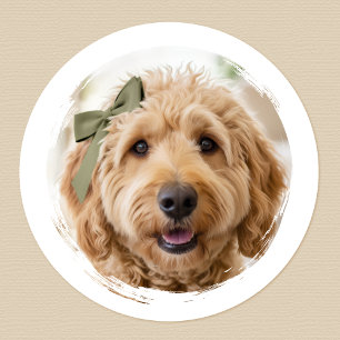 Pegatina Redonda Foto de perro personalizada linda impresa moderna