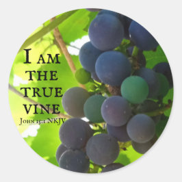 Pegatina Redonda Foto: Evangelio de uvas moradas de John Bible Vers