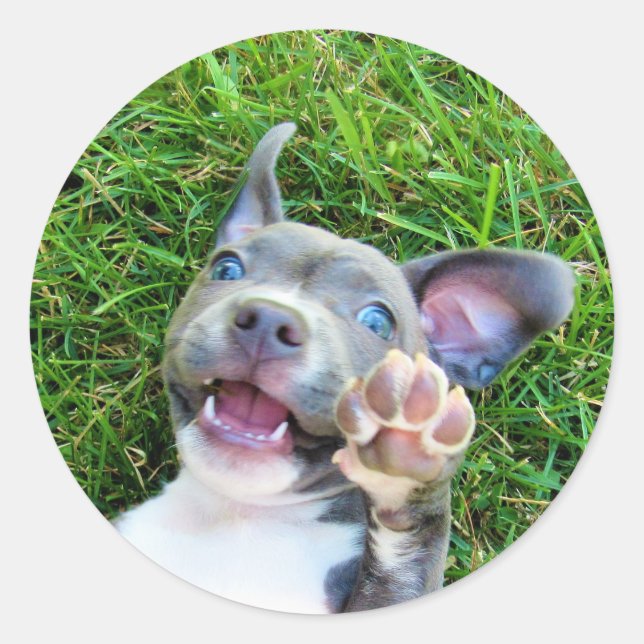 Pegatina Redonda Foto Personalizado personalizada Fiesta de cumplea (Anverso)