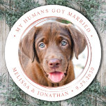 Pegatina Redonda Foto personalizado Rosa elegante Boda de oro<br><div class="desc">Añade el toque final a las invitaciones de bodas de perro con esta foto personalizado, y personaliza 'Mis seres humanos se casaron con pegatinas. Personalizar con tu foto, nombres y fecha favoritos. DERECHOS RESERVADOS © 2020 Judy Burrows, Black Dog Art - Todos los derechos reservados. Personalizado Foto Rosa elegante Boda...</div>