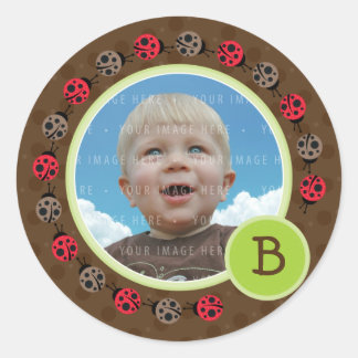 Pegatina Redonda FOTO SEAL: circunferencia de ladybird 3