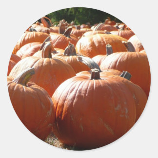Pegatina Redonda Fotografía de calabazas para Caída, Halloween o Dí