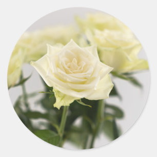 Pegatina Redonda Fotografía de flores de rosas blancas elegantes