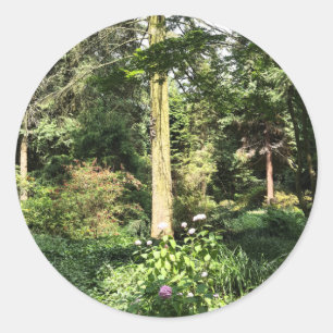 Pegatina Redonda Fotografía de la naturaleza de Hydrangea Wood Tree
