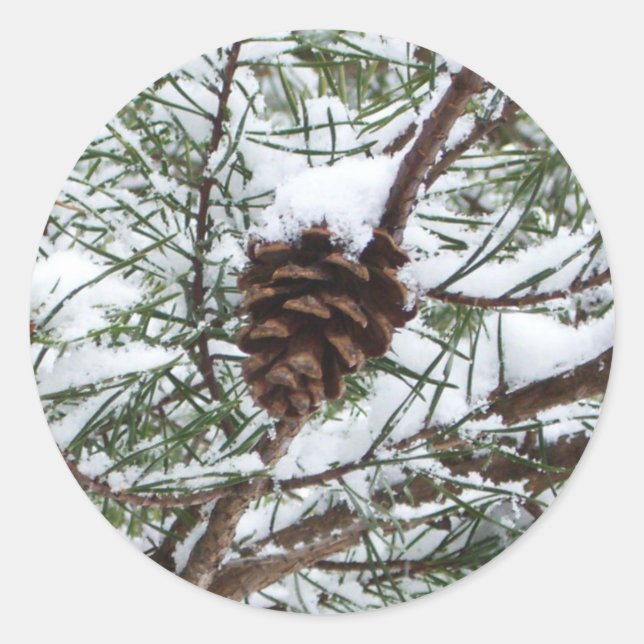 Pegatina Redonda Fotografía de la naturaleza del invierno de Snowy  (Anverso)
