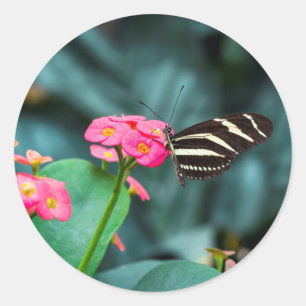 Pegatina Redonda Fotografía de Mariposa en Flor Rosa