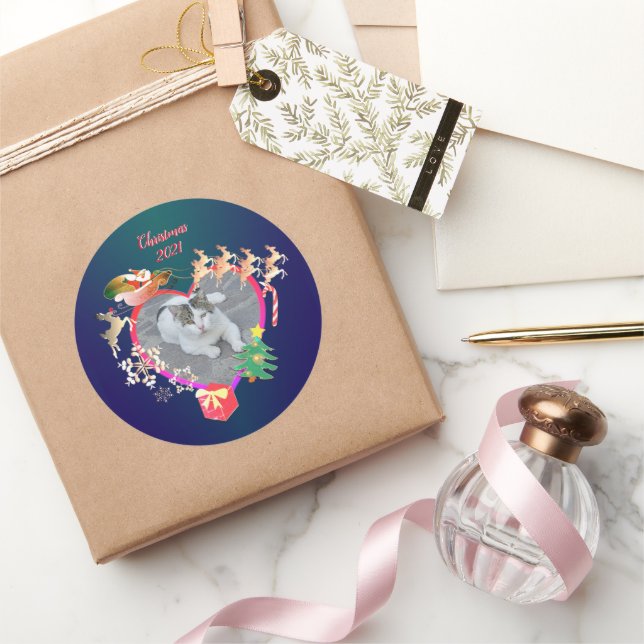 Pegatina Redonda Fotografía de renos de Santa María (Regalar)