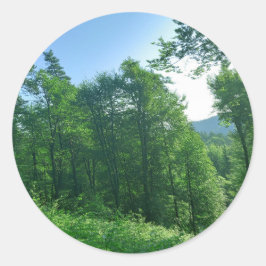 Pegatina Redonda Fotografía del paisaje de los bosques verdes