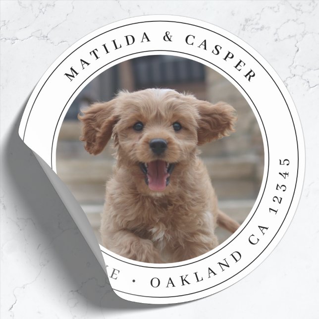 Pegatina Redonda Fotomontaje Clásico de Perro con Dirección de Devo (Subido por el creador)