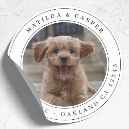 Pegatina Redonda Fotomontaje Perro Dirección de Envío Clásico Pegat