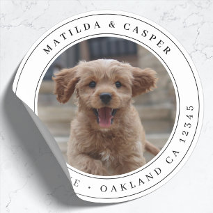 Pegatina Redonda Fotomontaje Perro Dirección de Envío Clásico Pegat