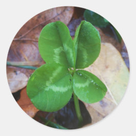 Pegatina Redonda Four leaf clover Sticker 