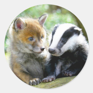 Pegatina Redonda Foxcub y Badger Cute!