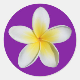 Pegatina Redonda Frangipani