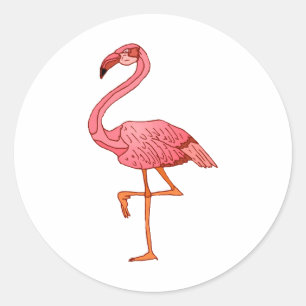 Pegatina Redonda Franklin Flamingo