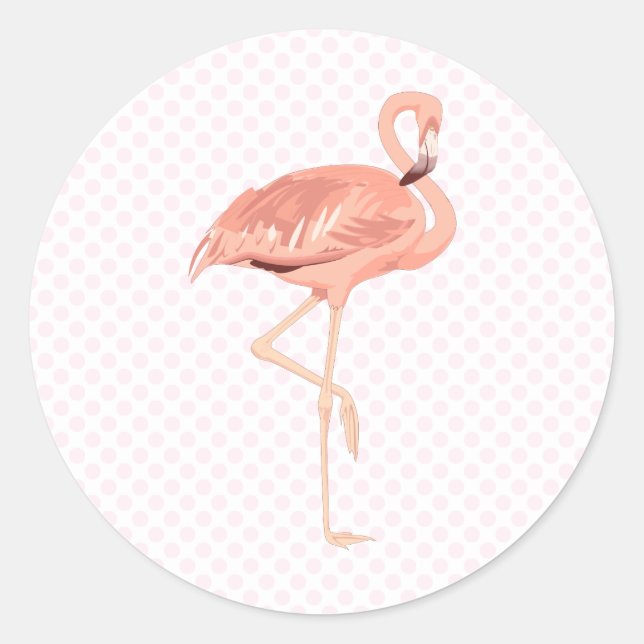 Pegatina Redonda Freddy Flamingo (Anverso)