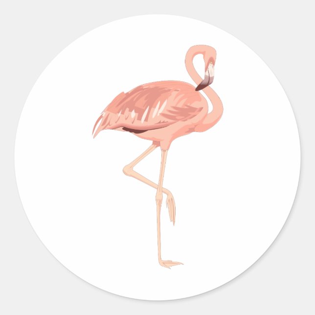 Pegatina Redonda Freddy Flamingo (Anverso)