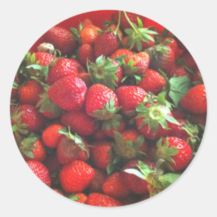 Pegatina Redonda Fresas   bayas rojas recién recogidas