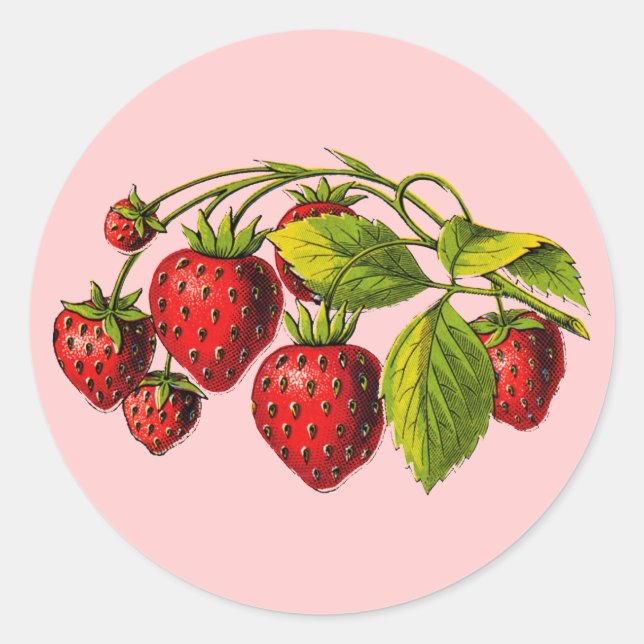 Pegatina Redonda Fresas frescas (Anverso)