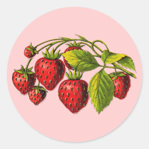Pegatina Redonda Fresas frescas