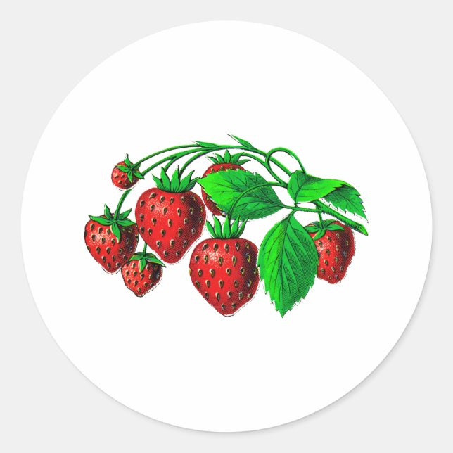 Pegatina Redonda Fresas frescas (Anverso)
